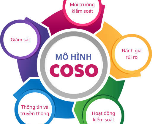 Đánh giá hệ thống kiểm soát nội bộ chu trình mua hàng và thanh toán theo khung COSO tại doanh nghiệp vừa và nhỏ ở Việt Nam