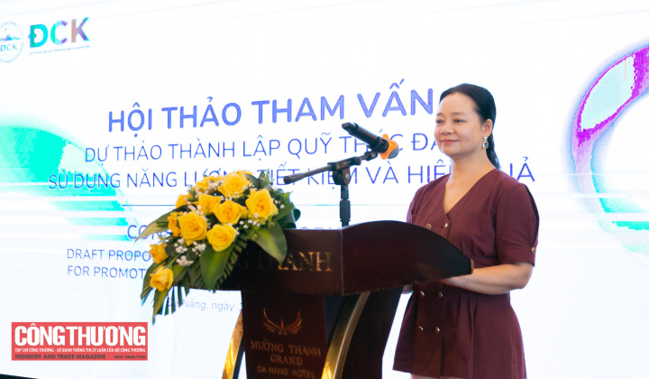 Hoàn thiện mô hình Quỹ Thúc đẩy sử dụng năng lượng tiết kiệm và hiệu quả