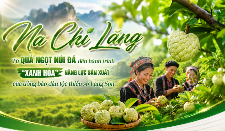 Na Chi Lăng: Từ quả ngọt núi đá đến hành trình "xanh hóa" năng lực sản xuất của đồng bào dân tộc thiểu số Lạng Sơn