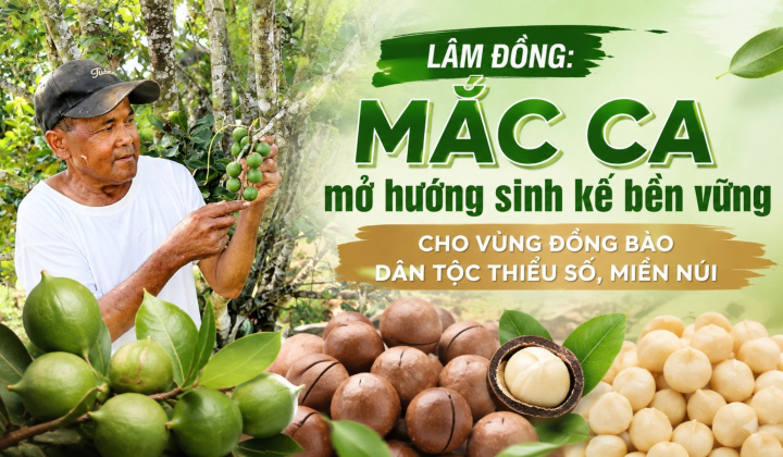 [eMagazine] Lâm Đồng: Mắc ca mở hướng sinh kế bền vững cho vùng đồng bào dân tộc thiểu số, miền núi