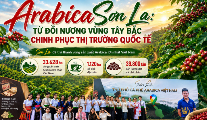[eMagazine] Arabica Sơn La: Từ đồi nương vùng Tây Bắc chinh phục thị trường quốc tế