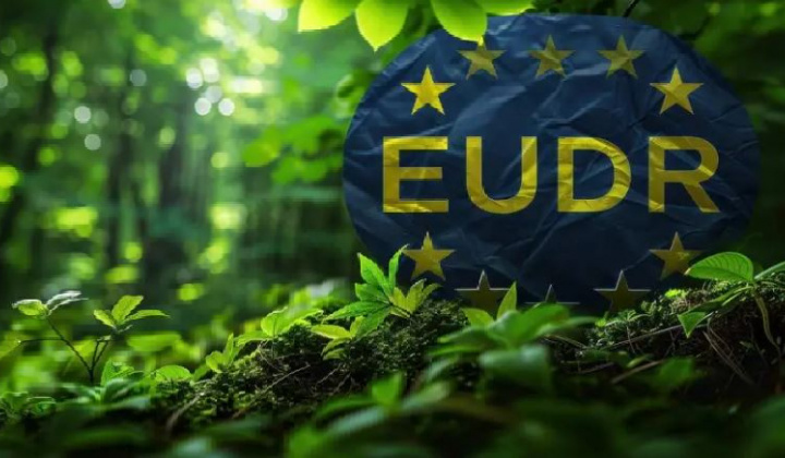 EU ban hành hướng dẫn mới về EUDR: Doanh nghiệp Việt Nam cần chủ động hoàn thiện hồ sơ truy xuất nguồn gốc