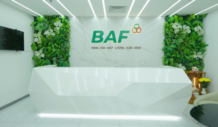 BAF gia nhập rổ FTSE Global Total cap trong tiến trình nâng hạng thị trường chứng khoán Việt Nam