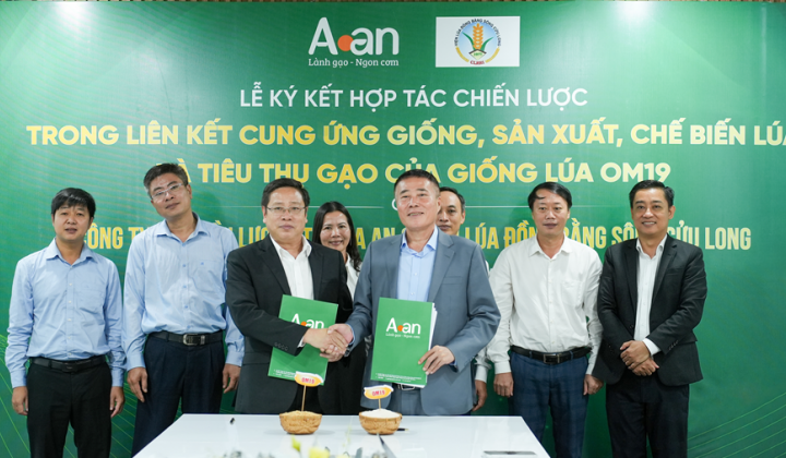 A An và Viện Lúa Đồng bằng sông Cửu Long hợp tác phát triển OM19, kiến tạo chuỗi giá trị lúa gạo chất lượng cao