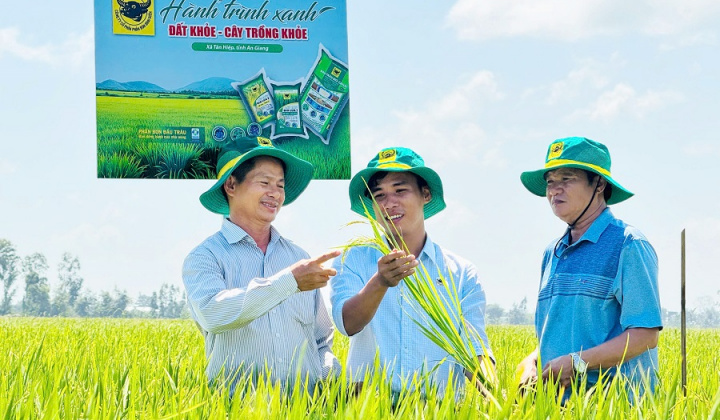 Đất khỏe, cây khỏe, người nông dân thêm niềm tin