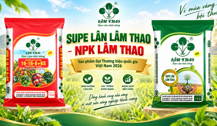Supe Lân Lâm Thao, NPK Lâm Thao được công nhận sản phẩm đạt Thương hiệu quốc gia Việt Nam 2026