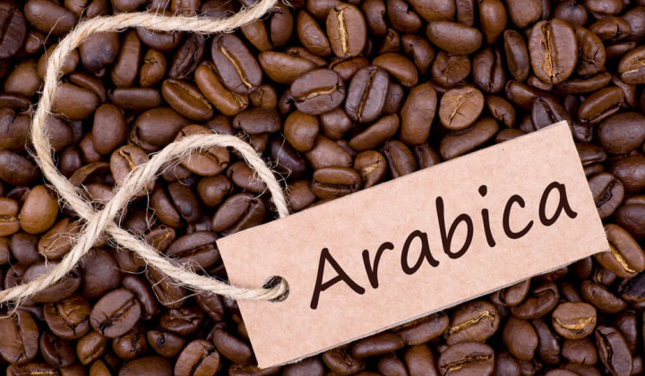 Giá cà phê hôm nay 11/9: Giá Arabica giảm do triển vọng nguồn cung Brazil cải thiện