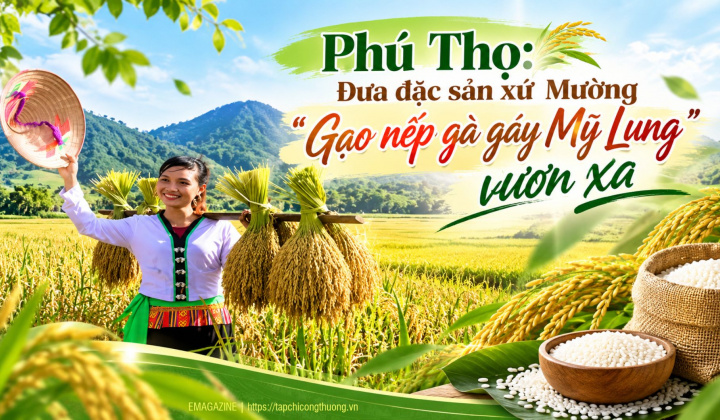 [eMagazine] Phú Thọ: Đưa đặc sản xứ Mường “Gạo nếp gà gáy Mỹ Lung” vươn xa