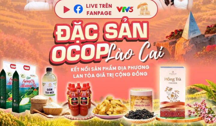 Mega Livestream quảng bá OCOP Lào Cai thu hút hơn 2.000 sản phẩm