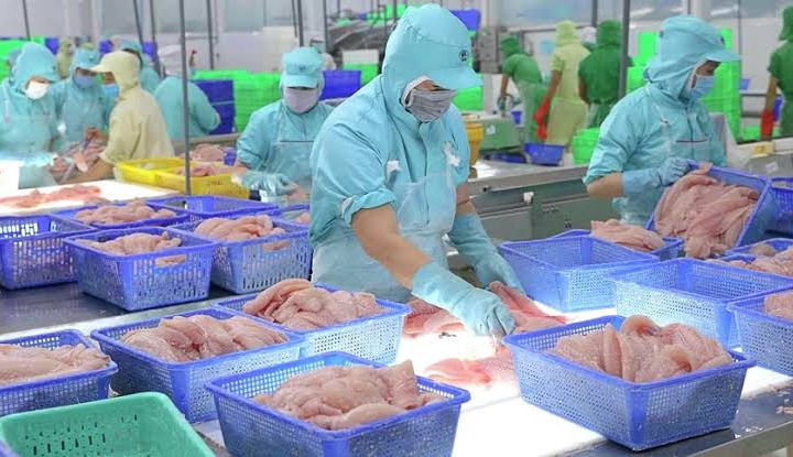 Xuất khẩu thủy sản mã HS 03 của Việt Nam: tiếp cận từ mô hình lực hấp dẫn