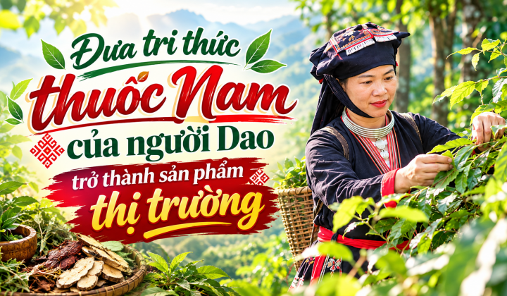 [Emagazine] Đưa tri thức thuốc Nam của người Dao trở thành sản phẩm thị trường