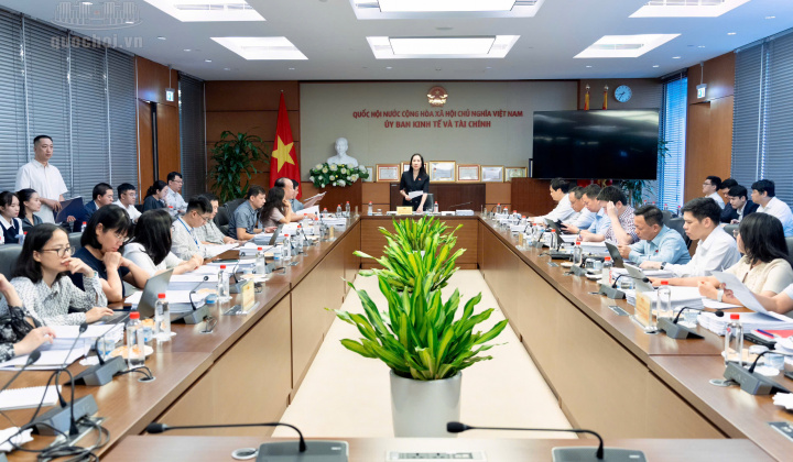 Uỷ ban Kinh tế và Tài chính thẩm tra sơ bộ dự án Luật Giao dịch hàng hoá phái sinh