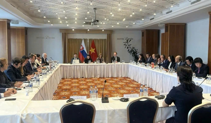 Thúc đẩy đột phá trong quan hệ hợp tác kinh tế, thương mại và đầu tư Việt Nam - Slovakia