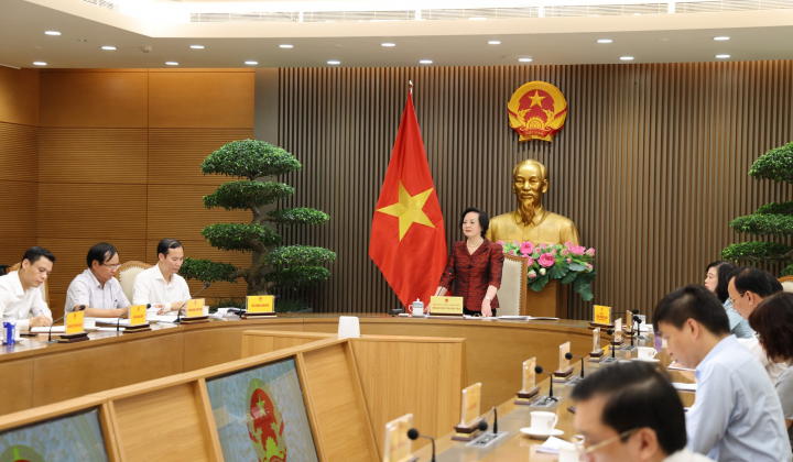 Thúc đẩy hệ sinh thái "kinh tế bạc", bảo vệ người cao tuổi trên không gian mạng