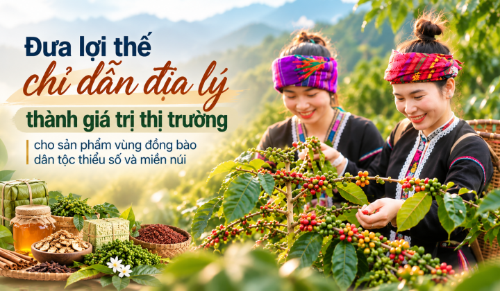 [eMagazine] Đưa lợi thế chỉ dẫn địa lý thành giá trị thị trường cho sản phẩm vùng đồng bào dân tộc thiểu số và miền núi