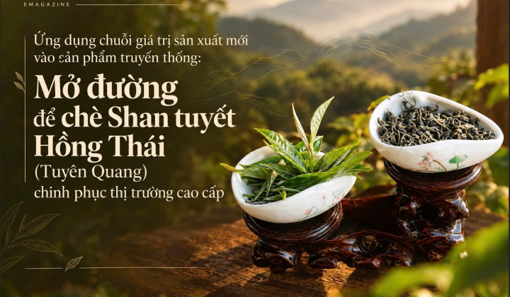 [eMagazine] Mở đường để chè Shan tuyết Hồng Thái (Tuyên Quang) chinh phục thị trường cao cấp: Ứng dụng chuỗi giá trị sản xuất mới vào sản phẩm truyền thống: