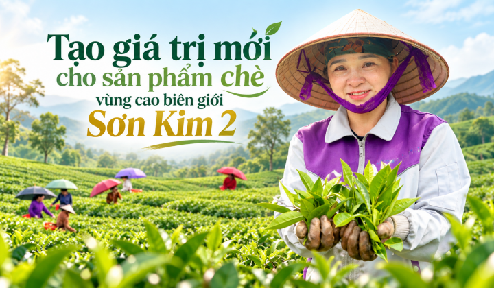 [eMagazine] Tạo  giá trị mới cho sản phẩm chè vùng cao biên giới Sơn Kim 2