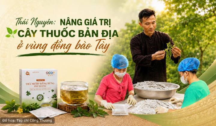 [eMagazine] Thái Nguyên: Nâng giá trị cây thuốc bản địa ở vùng đồng bào Tày