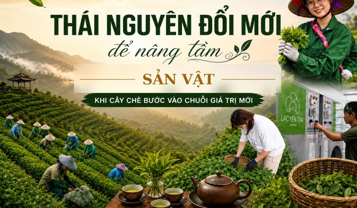 [eMagazine] Thái Nguyên đổi mới để nâng tầm sản vật - Khi cây chè bước vào chuỗi giá trị mới