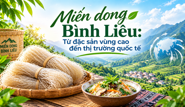 Miến dong Bình Liêu: Từ đặc sản vùng cao đến thị trường quốc tế