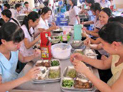 Dinh dưỡng thiếu, năng suất yếu!