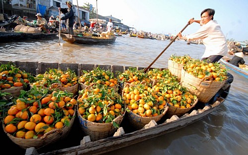 Tiết kiệm điện – Cách làm hiệu quả ở Tiền Giang