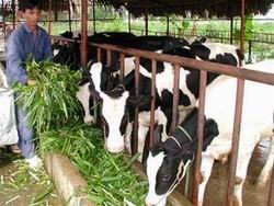 Phấn đấu đưa Sơn La trở thành trung tâm của tiểu vùng Tây Bắc