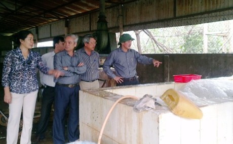 Quảng Trị: Khắc phục ô nhiễm môi trường tại cơ sở chế biến