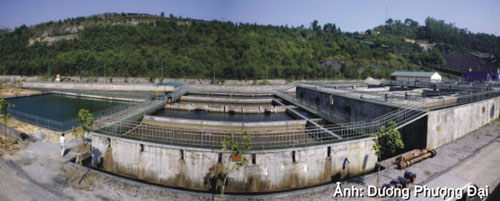 Bảo vệ "lá phổi" cho vùng than