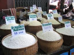 Giá lúa gạo tăng cao nhất từ đầu năm