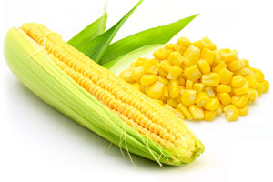 Lượng ngô nhập khẩu của Trung Quốc trong niên vụ 2014/15  dự báo giảm xuống còn 3 triệu tấn