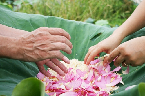Cận cảnh thu hoạch sen Tây Hồ lúc bình minh