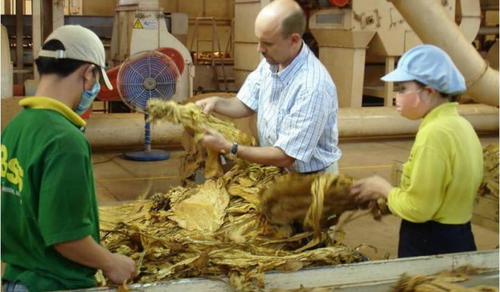 Thực hiện tốt kiểm soát chất lượng nguyên liệu