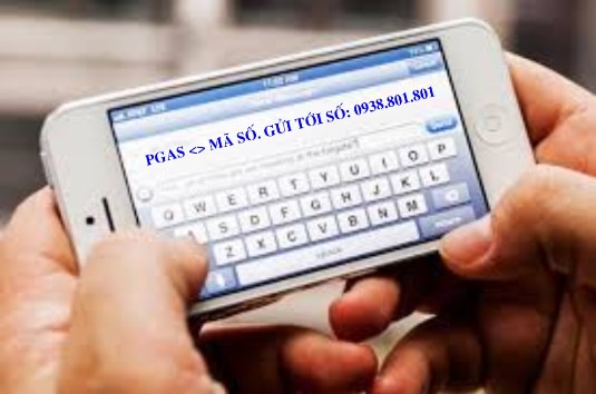 Công ty TNHH Gas Petrolimex Hải Phòng đang áp dụng tem chống hàng giả với công nghệ mã hóa (tem KTS) trên sản phẩm Gas Petrolimex