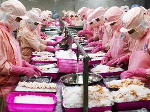 Chính sách phát triển thủy sản và các biện pháp phòng vệ thương mại