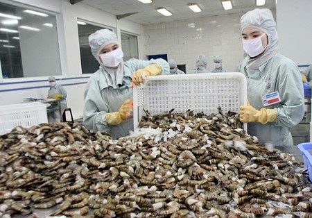 WTO ra phán quyết có lợi cho tôm Việt Nam