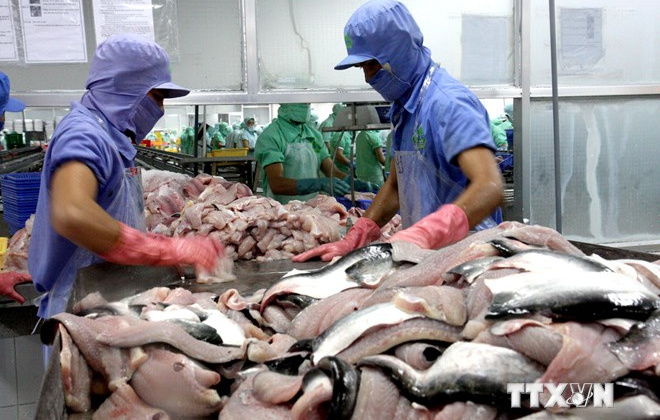 Việt Nam không bán phá giá filet cá tra, cá ba sa vào Hoa Kỳ