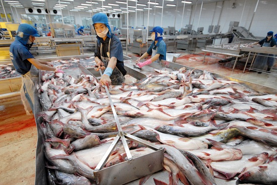 Cá tra có chứng nhận BAP là một lựa chọn tiêu dùng thay thế có lợi