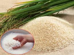 Xuất khẩu gạo sang châu Phi, Tây Á tăng mạnh