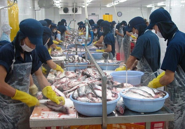 Tọa đàm về xuất khẩu bền vững cá da trơn của Việt Nam vào EU