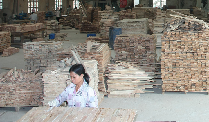 Gỗ rừng trồng: Sản phẩm thế mạnh của Yên Bái