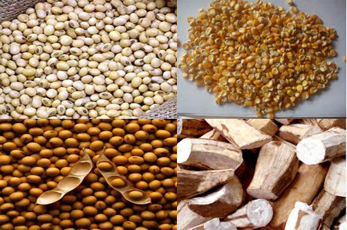 Nhập khẩu thức ăn chăn nuôi gia súc và nguyên liệu đầu năm 2016 tăng