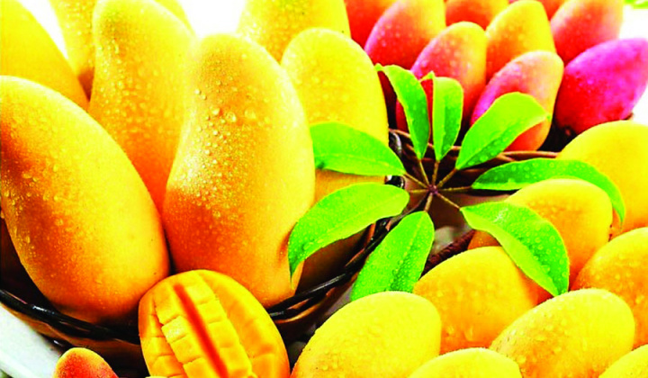 Australia gives approval for importing fresh Vietnamese mango