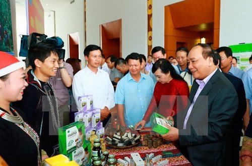 3 định hướng phát triển ngành dược liệu Việt Nam