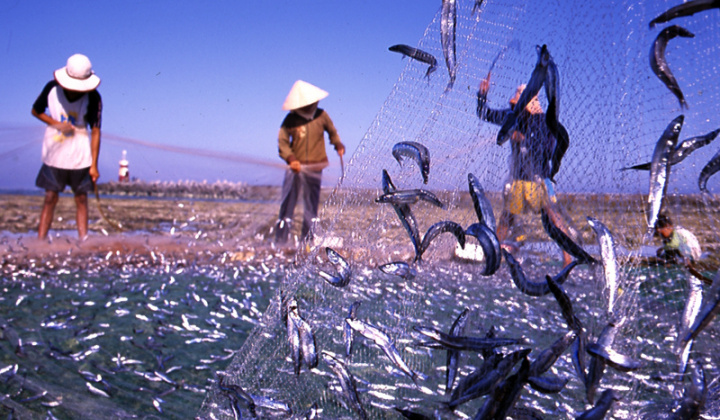 Kien Giang develops fisheries exploitation