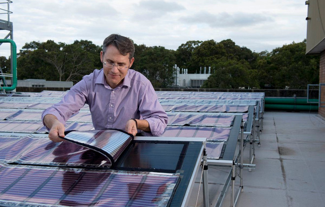 Expats share experiences in clean energy, big data