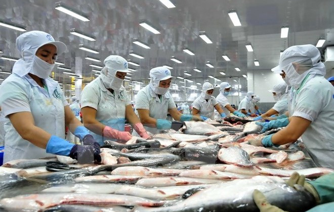 Tra fish exports to US remain steady