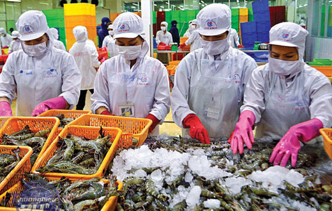 Domestic shrimp exporters need to renovate
