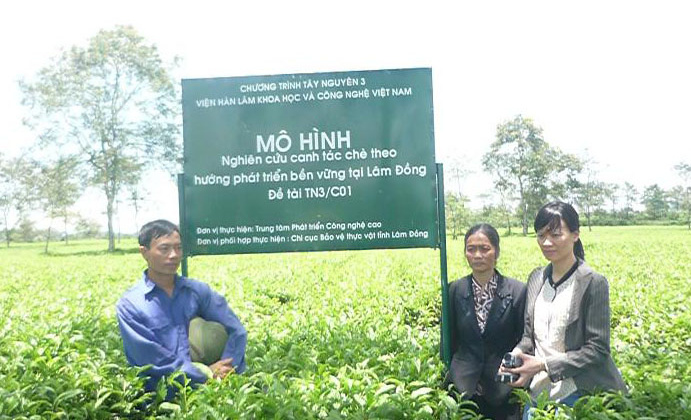 Da Nang set to build new High-tech farms 