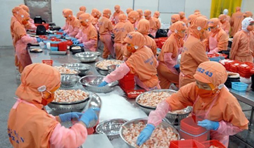 Vietnamese aquatic products strive to regain confidence in Europe 